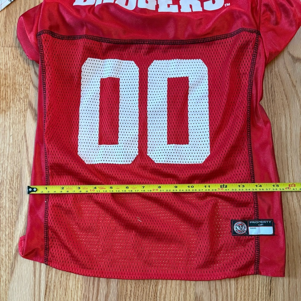 Wisconsin Badger Pet Jerseys And Bandanas Lot College University Badgers Dog - Picture 8 of 13
